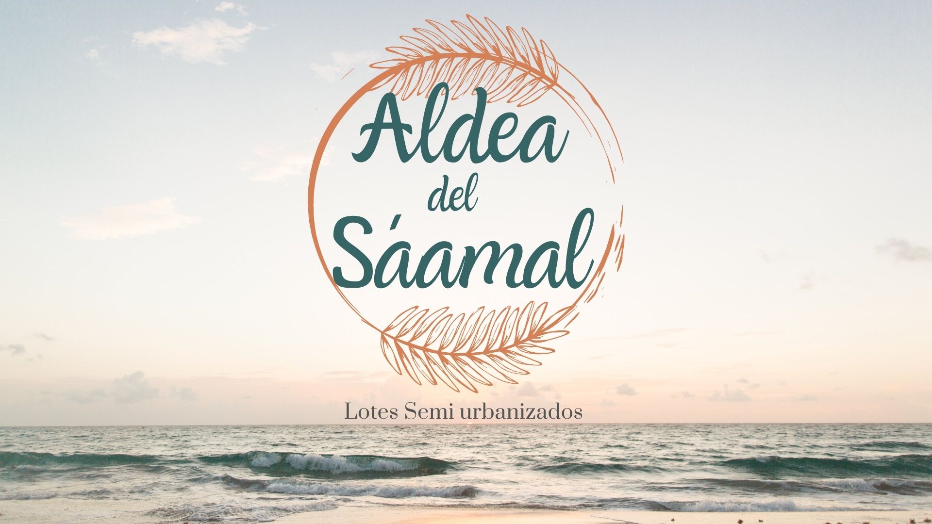 Imagen de desarrollo